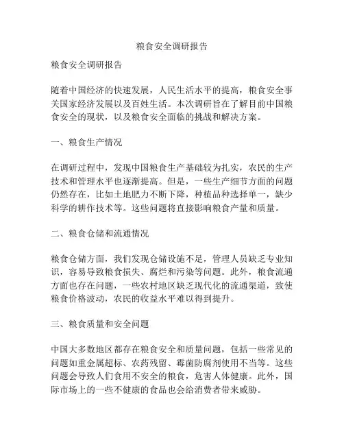 粮食安全调研报告