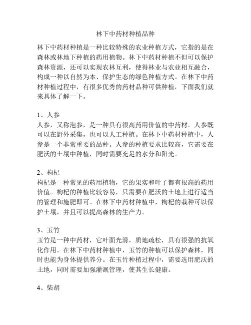 林下中药材种植品种