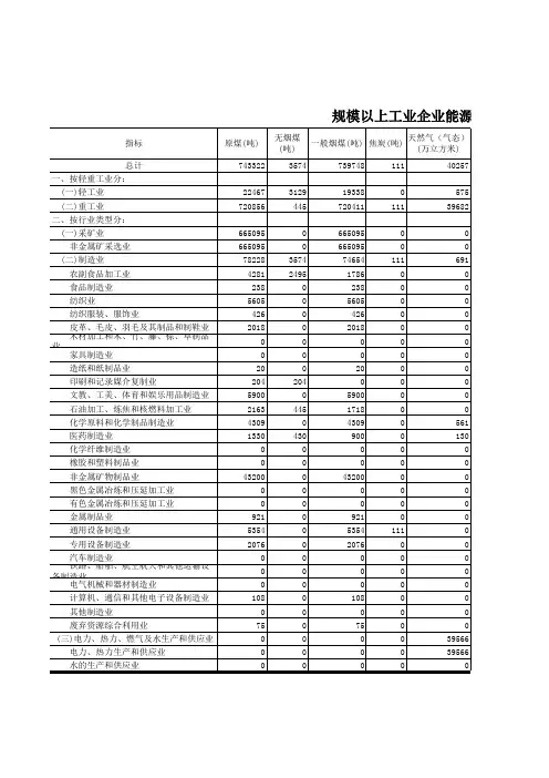 2013能源年鉴