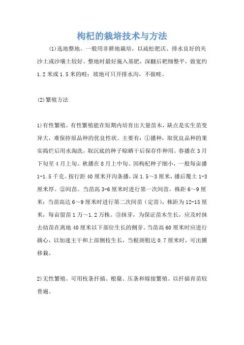枸杞的栽培技术与方法