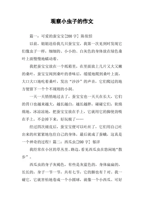 观察小虫子的作文