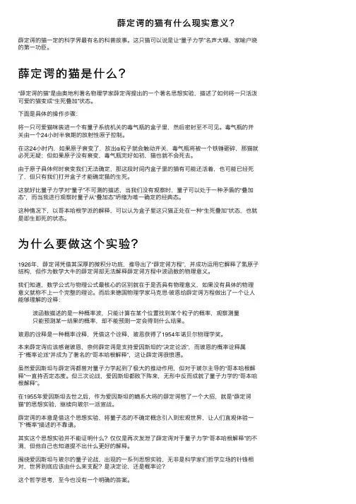 薛定谔的猫有什么现实意义？