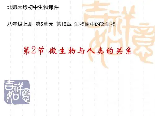 北师大版初中生物八年级上册第2节《微生物与人类的关系》教学课件