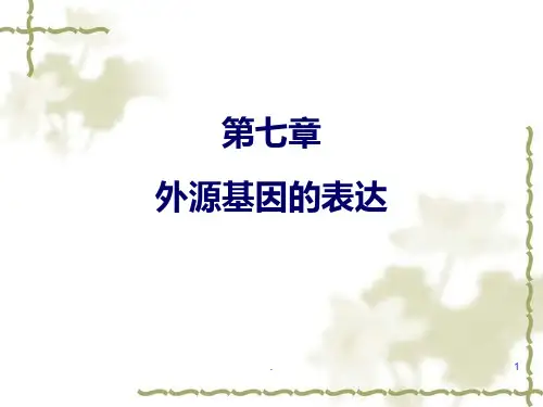 第七章-外源基因的表达PPT课件