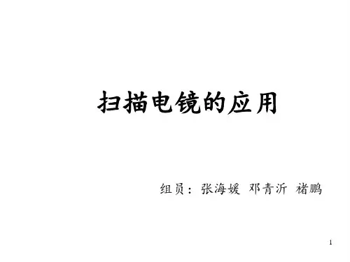 扫描电镜分析优秀PPT