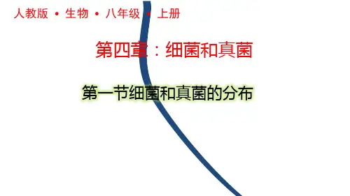 细菌和真菌的分布ppt课件