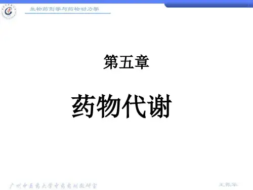 第5章药物的代谢