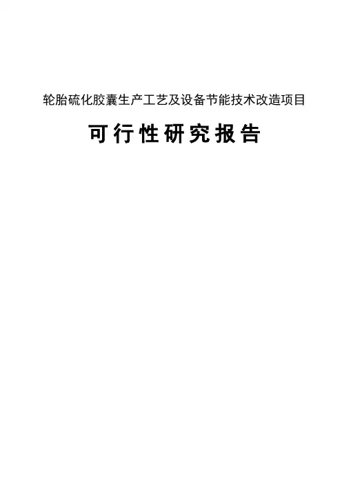 轮胎硫化胶囊生产工艺及设备节能技术改造项目策划书
