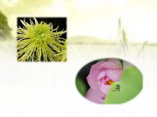 沪教版四年级语文上册14、《古诗二则》