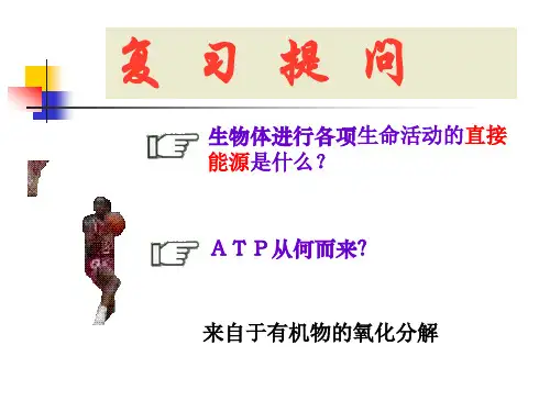 呼吸作用