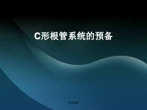 C形根管系统的预备