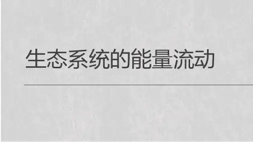 人教版高中生物必修三第5章第2节  生态系统的能量流动  课件(共17张PPT)