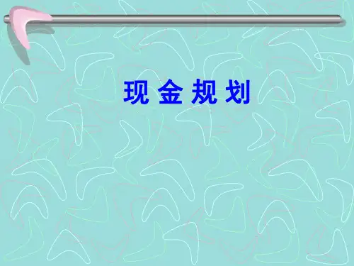 《理财规划师课件-现金规划》详解课件分享(ppt 9)
