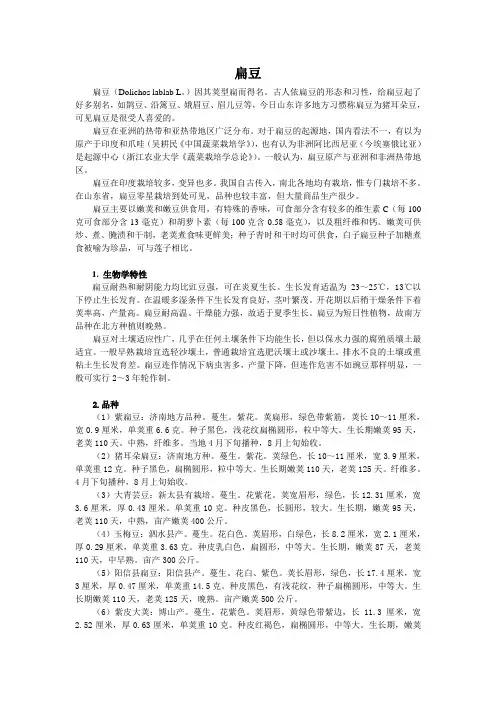 扁豆