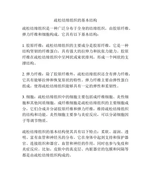 疏松结缔组织的基本结构