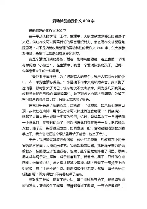 爱动脑筋的我作文800字