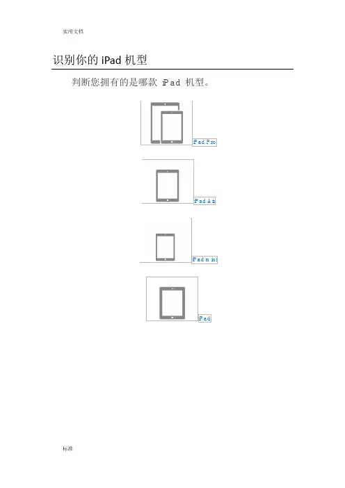 识别你的iPad机型