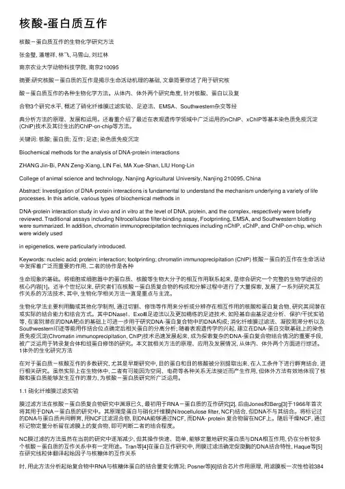 核酸-蛋白质互作