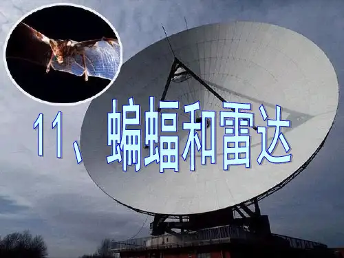 《蝙蝠和雷达》PPT课件