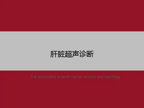 肝脏超声诊断