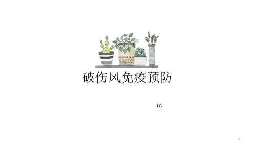 破伤风免疫预防PPT课件