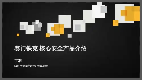 Symantec核心安全解决方案