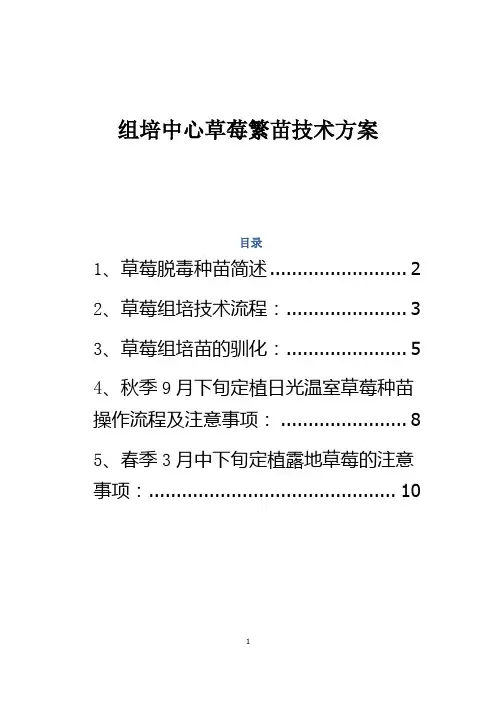 组培中心繁苗技术方案