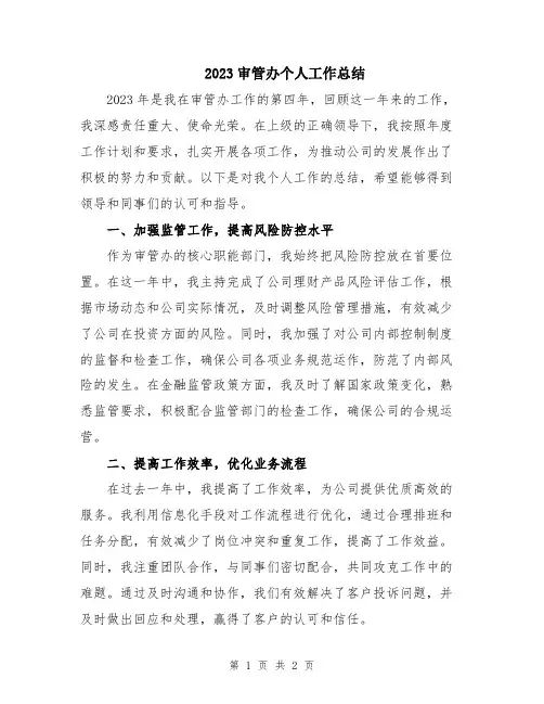 2023审管办个人工作总结