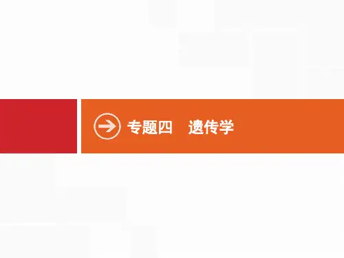 2020年山东省新高考生物二轮复习课件：专题四第九讲遗传的分子基础