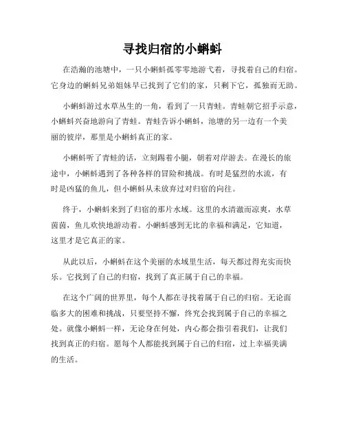 寻找归宿的小蝌蚪