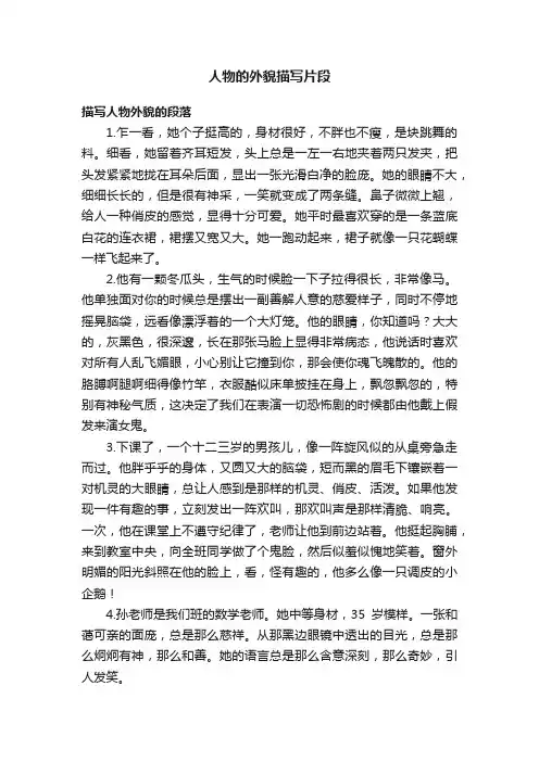 人物的外貌描写片段
