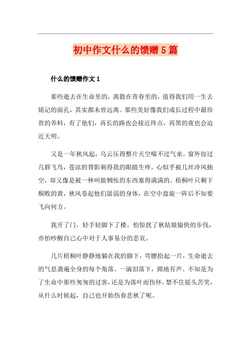 初中作文什么的馈赠5篇