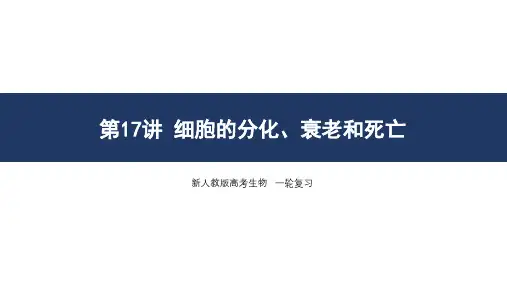 第17讲 细胞的分化、衰老和死亡-高考生物一轮复习课件