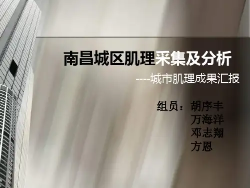 城市肌理成果汇报