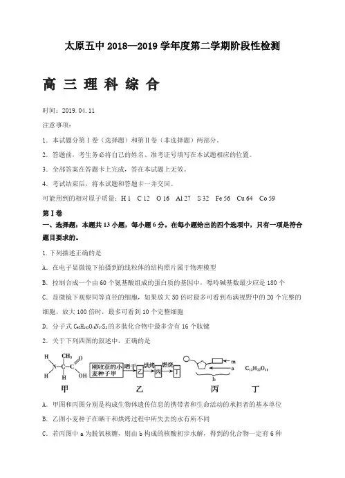山西省太原市第五中学2019届高三下月考(4月)理科综合试卷及答案