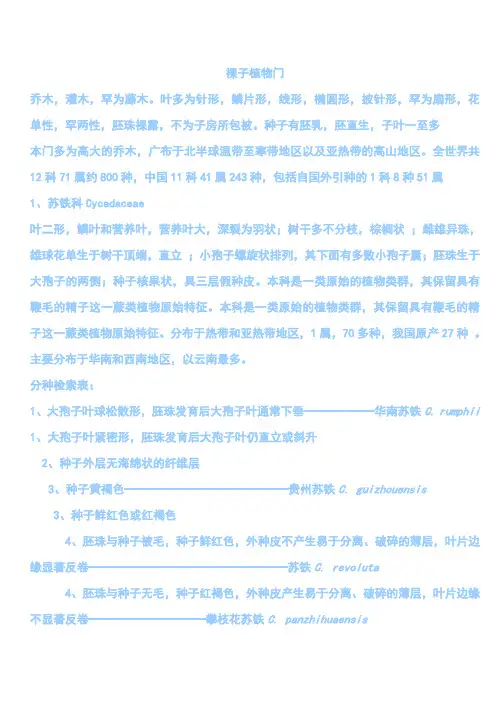 裸子植物门