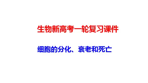 生物新高考一轮复习课件：4-3 细胞的分化、衰老和死亡