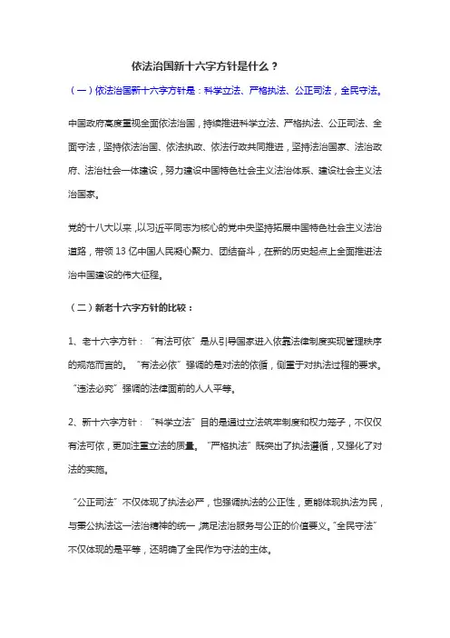 坚持十六字方针是什么