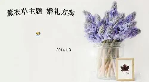 薰衣草主题策划案