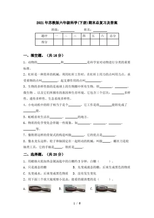 2021年苏教版六年级科学(下册)期末总复习及答案