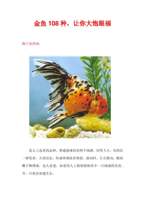 一百零八种金鱼介绍