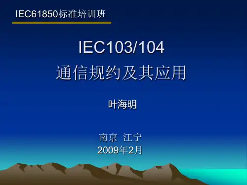 103、104规约及其应用NEW