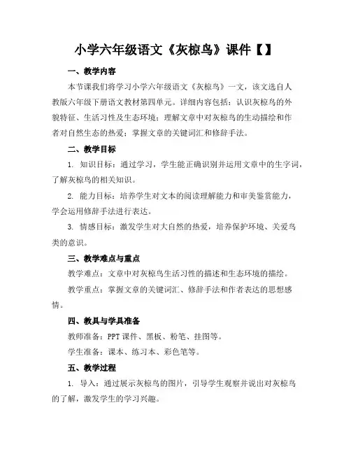 小学六年级语文《灰椋鸟》课件【】