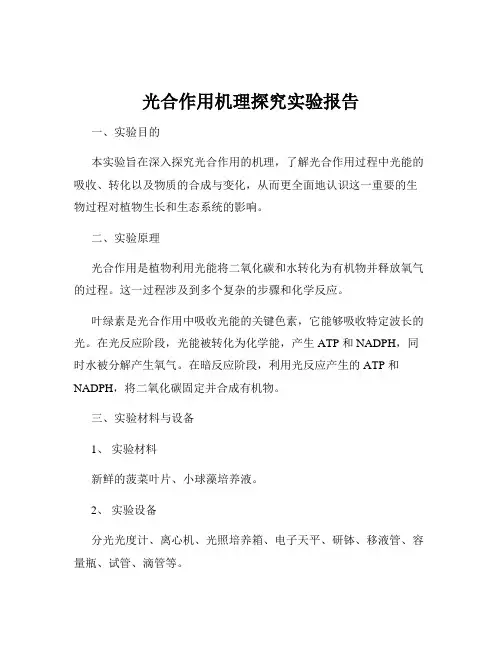 光合作用机理探究实验报告