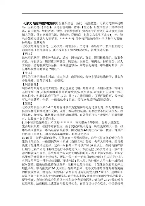 七彩文鸟的详细养殖知识