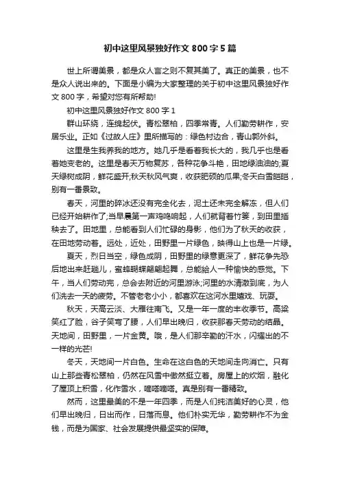 初中这里风景独好作文800字5篇