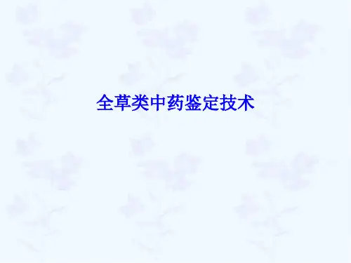 全草类中药鉴定技术.ppt