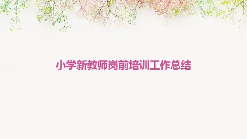 小学新教师岗前培训工作总结PPT