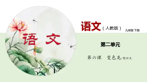 06《变色龙》(课件)九年级语文下册(部编版)