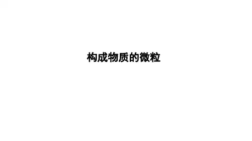 2024年中考化学一轮考点复习---构成物质的微粒课件